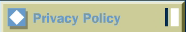 Privacy Policy