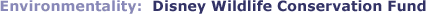 Environmentality: Disney Wildlife Conservation Fund
