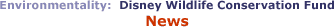 Environmentality: Disney Wildlife Conservation Fund: News