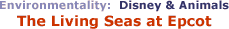 Environmentality: Disney & Animals: The Living Seas