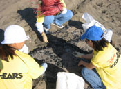 Disney VoluntEARS sift through ashes on the beach to find any trash that might be hidden underneath.