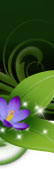 tinkerbell sweepstakes