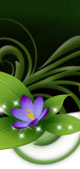 tinkerbell sweepstakes