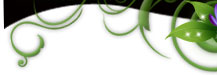 tinkerbell sweepstakes