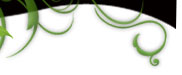 tinkerbell sweepstakes