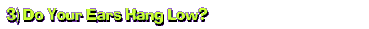 3) Do You Ears Hang Low?