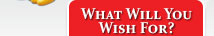 WHAT WILL YOU WISH FOR?