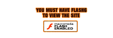 You must have Flash6 to view this site