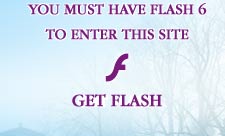 GET FLASH