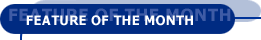 Feature of the Month