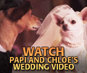 Watch Papi and Chloe's Wedding Video