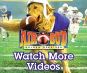 Watch More Videos