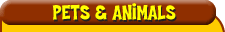 Pets and Animals