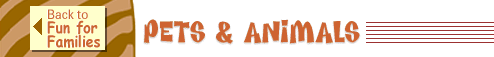 Pets and Animals