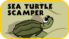 Sea Turtle Scamper