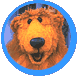 Bear in the Big Blue House