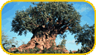 Visit the Animal Kingdom this Summer