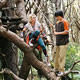 AnnaSophia Robb and Josh Hutcherson in "Bridge to Terabithia."