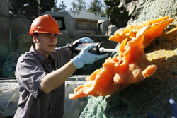 Finding Nemo Submarine Voyage