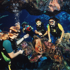 DiveQuest is just one of the possible adventures awaiting Disney Guests.