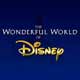 Wonderful World of Disney