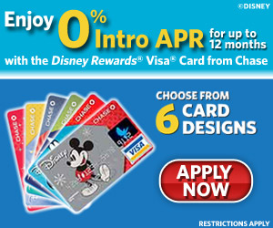Disney Visa