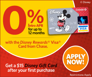 Chase Disney Visa