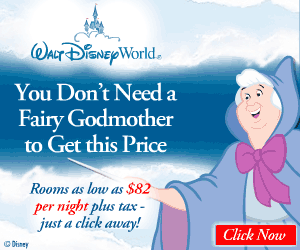 You don't need a Fairy Godmother to get this price!  Walt Disney World.