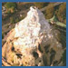 Disney's Matterhorn