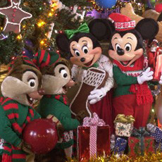 Mickey's Very Merry Christmas Party!