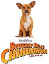 Beverly Hills Chihuahua