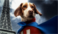 Underdog