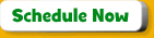 Schedule Now