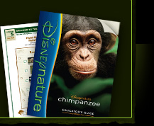 Disneynature - chimpanzee