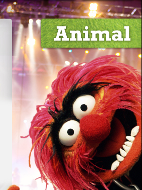 Animal