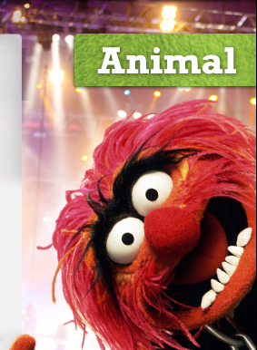 Animal