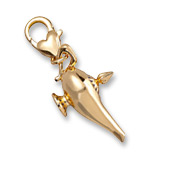 Aladdin Charm