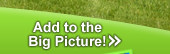 Add to the Big Picture!