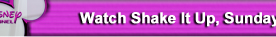 WATCH SHAKE IT UP, SUNDAYS @8:30/7C ON DISNEY CHANNEL.