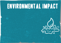 Environmental Impact
