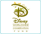 Disney Worldwide Conservation Fund