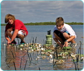 The Nature Conservancy