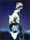 Zazu