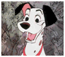Pongo