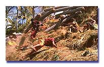 "Swiss Family Robinson"