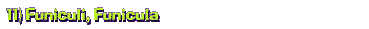 11) Funiculi, Funicula