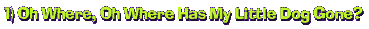 1) Oh Where, Oh Where Has My Little Dog Gone?
